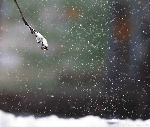 Снегопад весной