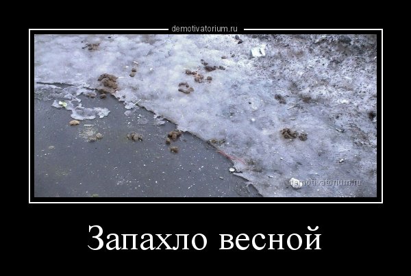 Пришла Весна, какашки