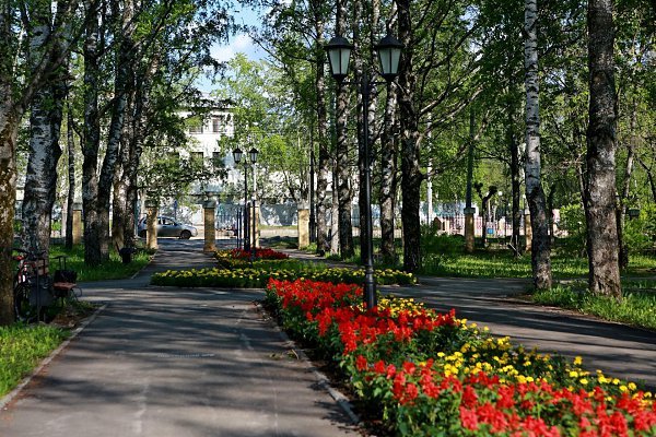 Сквер Миндовского Березники