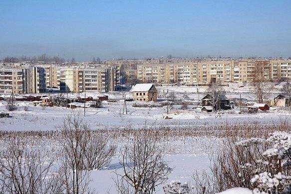 Береза в апреле