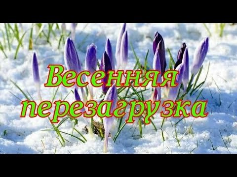 1 Марта первый день весны