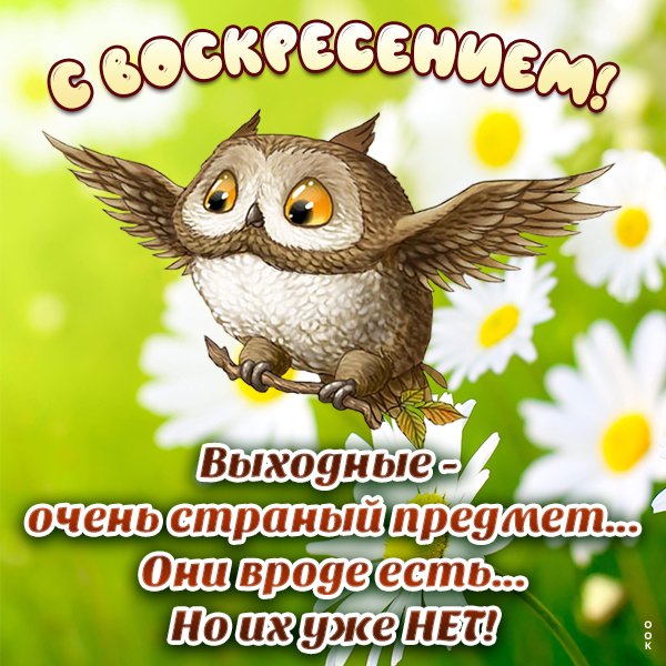 Доброго воскресного дня