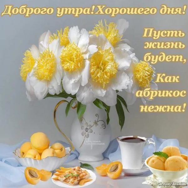 Доброе утро с Вербным воскресеньем
