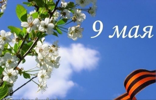 9 Мая яблони в цвету