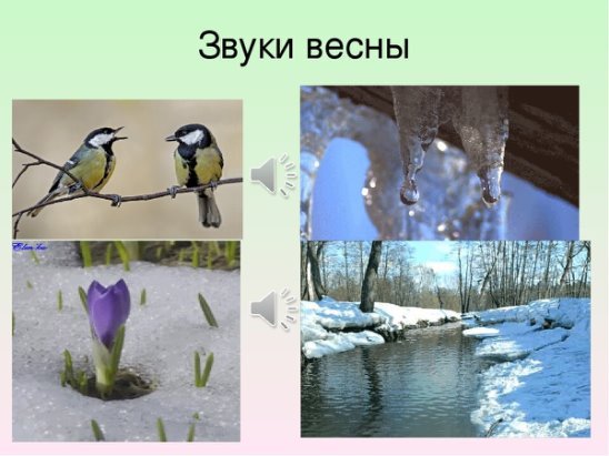 Музыкальная птица