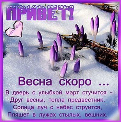 Веселые весенние цветы