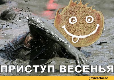Мем Весна грязь