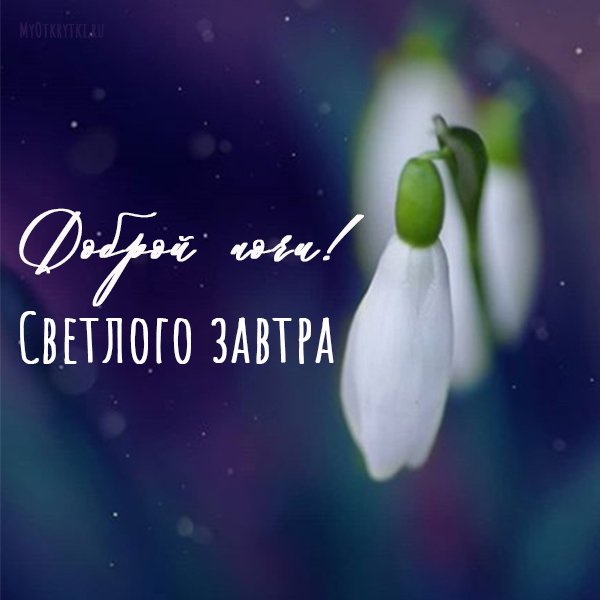Доброй ночи Весна
