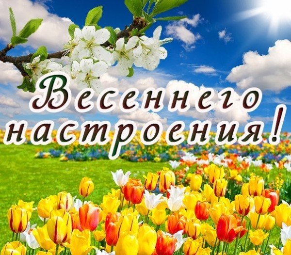Весеннего настроения и душевного тепла