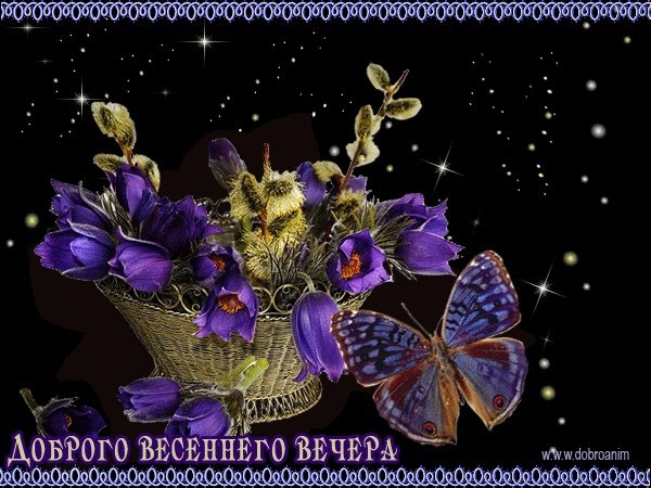 Спокойной весенней ночи