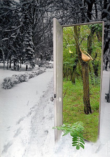 Дверь из зимы в весну