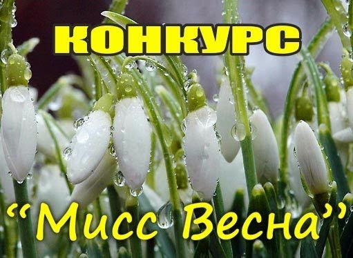 Презентация Мисс Весна
