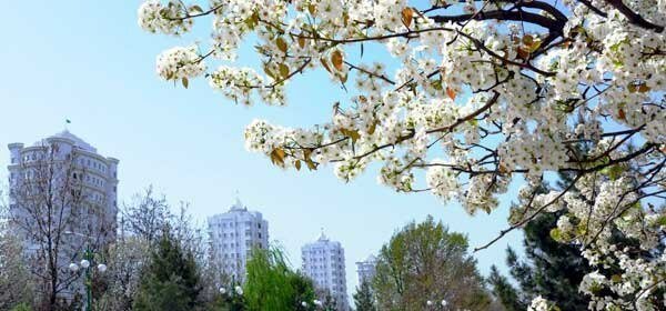 Весна в Туркмении