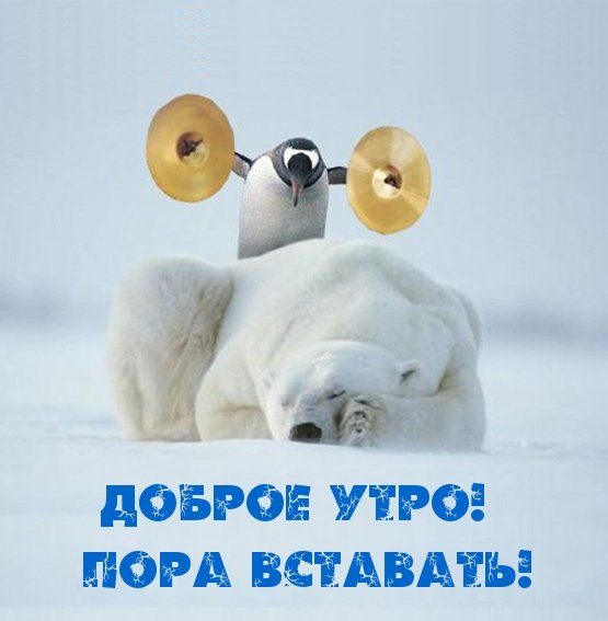 Шутки про весну