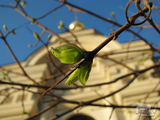 Весна в Саратове