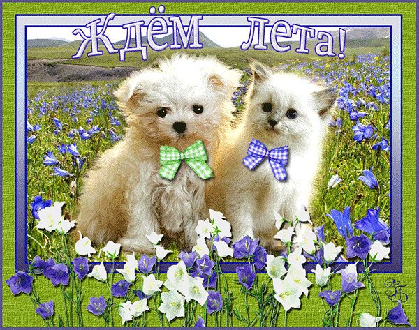 Открытки с весной прикольные