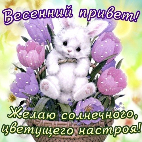 Весенний привет открытки