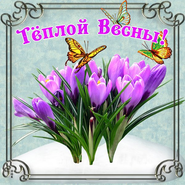 Весенний привет