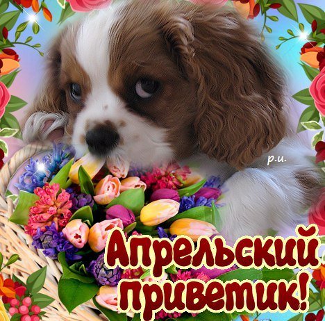 Открытки с добрым апрельским днем