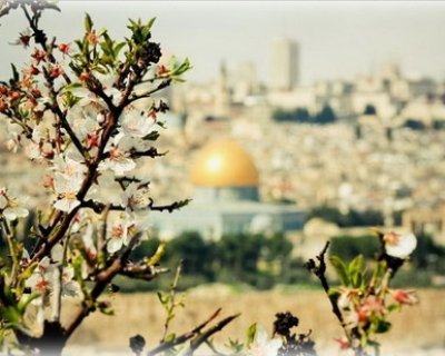 Весна в Иерусалиме