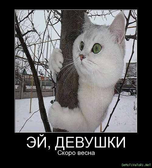Весна уже пришла