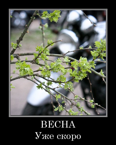 Весна ожидание реальность