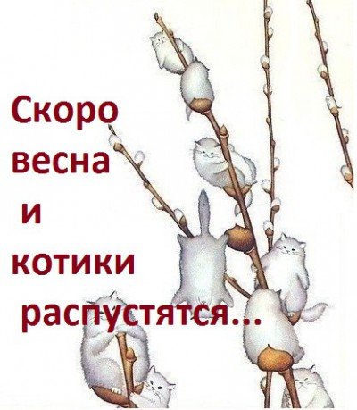 Зима или лето