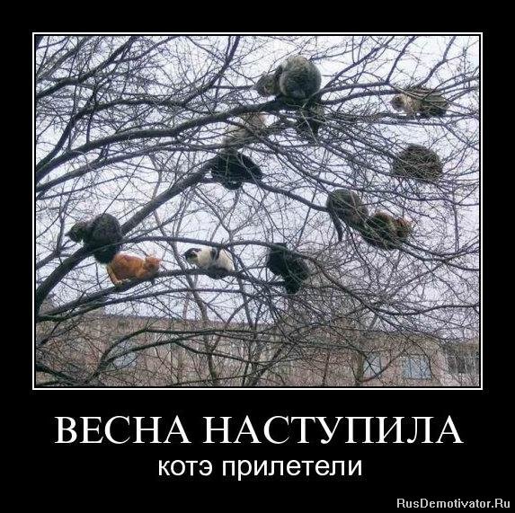 Приколы про весну