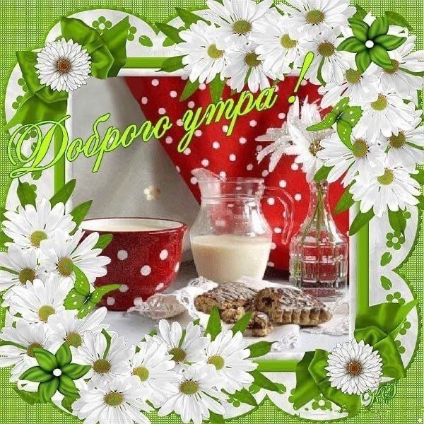 Доброе утро с птицами