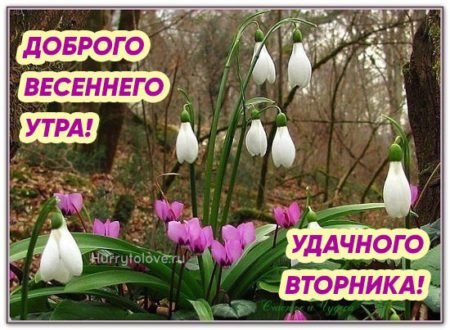 Открытки доброго летнего вторника