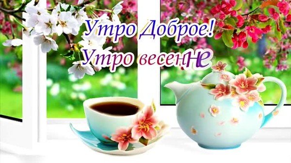 Добрый день четверг