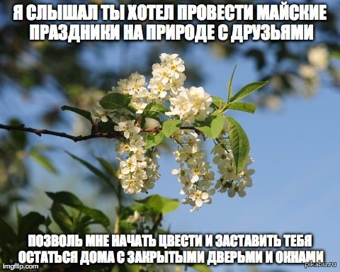 Мемы про аллергию комиксы