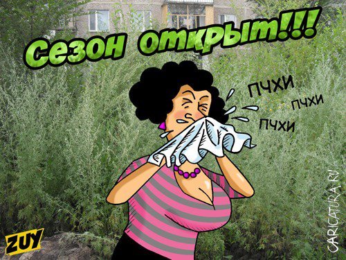 Шутки про аллергию