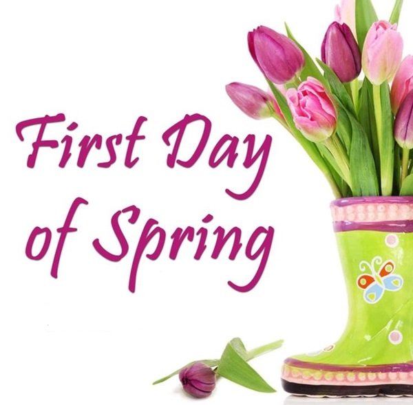 Привет, Весна!