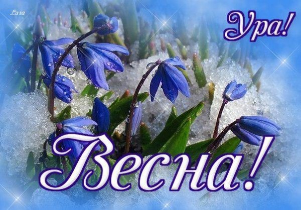 Нежные открытки с добрым утром