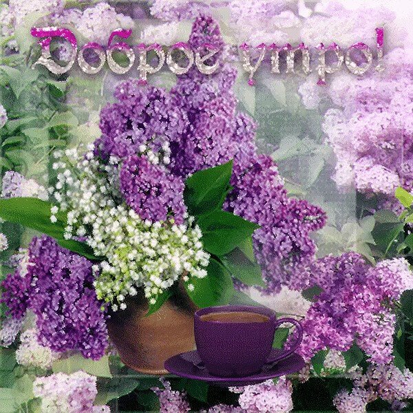 Доброгого майсконо утра