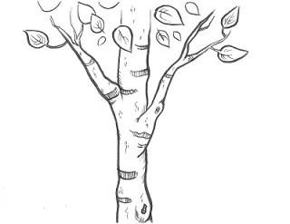 Вишня дерево раскраска для детей