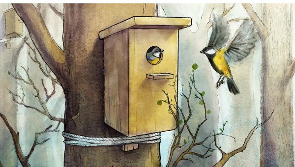 Картинки скворечники весной для детей (63 фото)