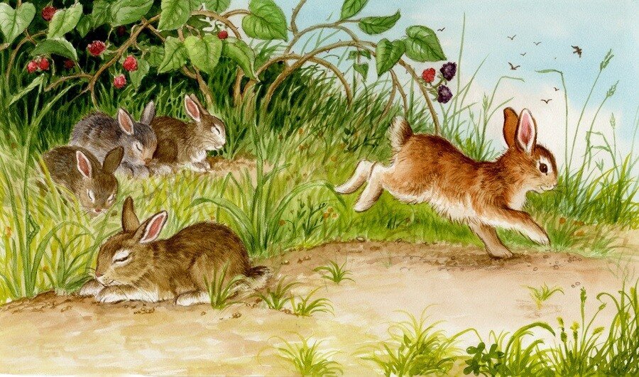 Зайчики дорожке траве и солнечные по бегут. Зайчик в лесу для детей. Заяц картина. Заяц с зайчонком. Зайцы на Поляне.