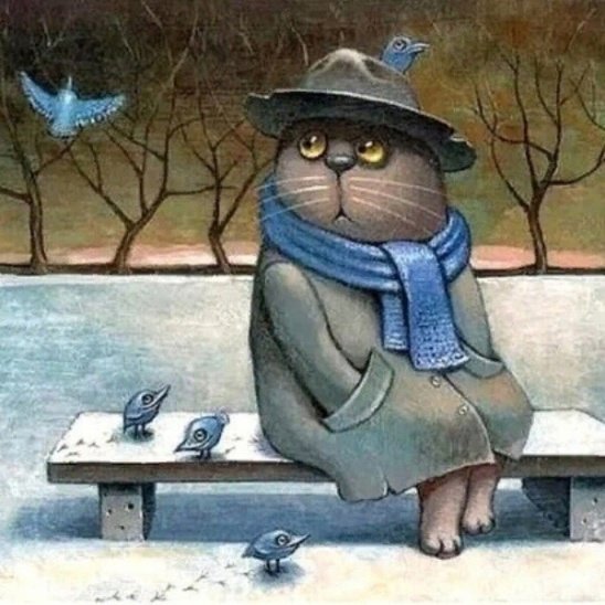 Коты прилетели