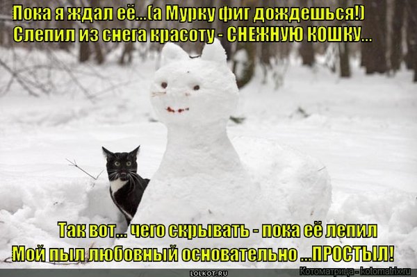 Приколы про мартовских котов