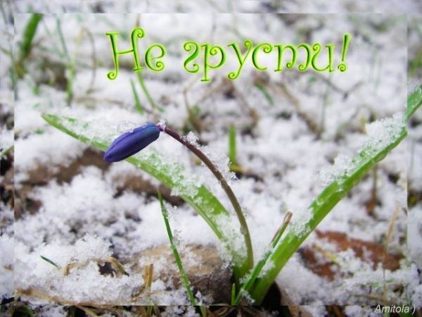 Весна уж скоро