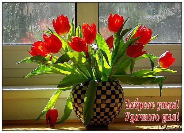 Весенний натюрморт