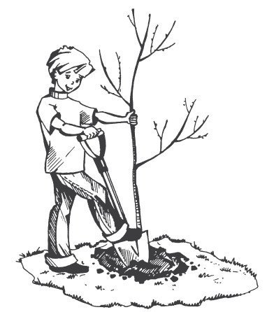 Уборка раскраска