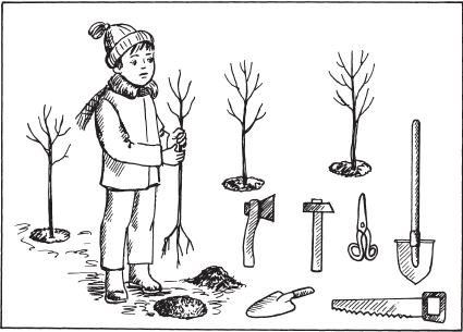 Огород раскраска для детей