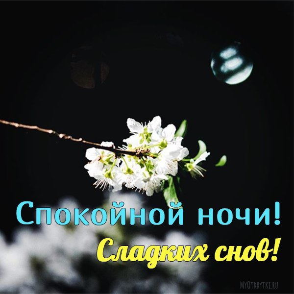 Спокойной весенней ночи