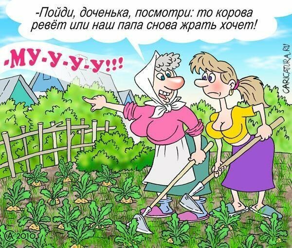 Фитнес на огороде прикол
