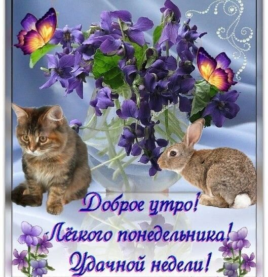 Доброго весеннего понедельника