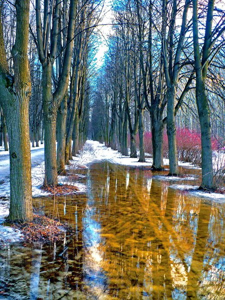 Красивая Весна в городе Россия