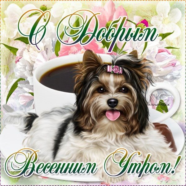 Доброе утро воскресенья с собачками